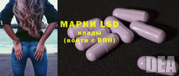 спиды Покачи