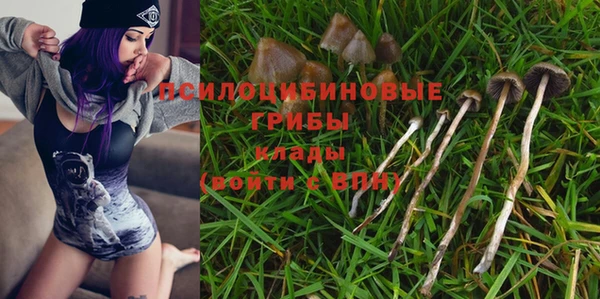 спиды Покачи