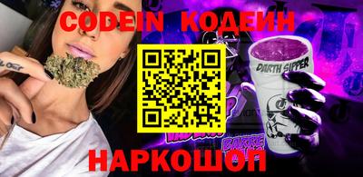 мдпв Кингисепп