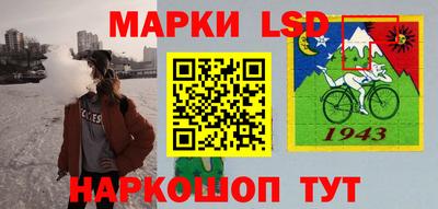 шишки Кинель