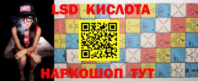 мдпв Кингисепп