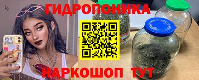 мдпв Кингисепп