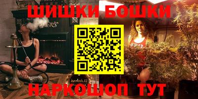 мдпв Кингисепп