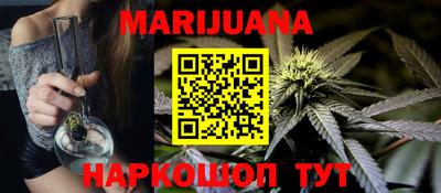 мдпв Кингисепп