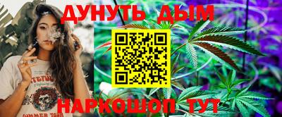 мдпв Кингисепп