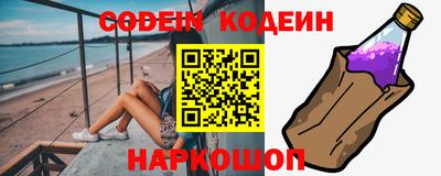 мдпв Кингисепп