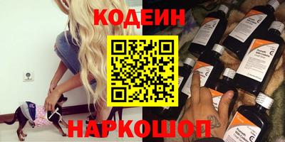 мдпв Кингисепп