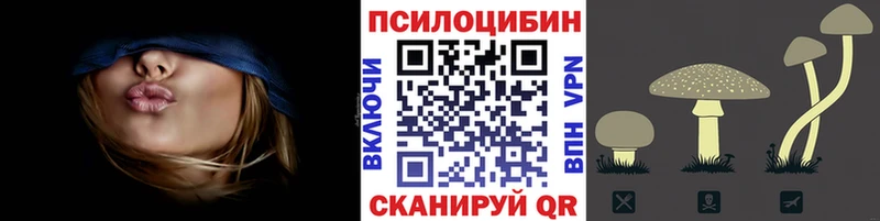 магазин продажи наркотиков  Свободный  ОМГ ОМГ   Галлюциногенные грибы прущие грибы 