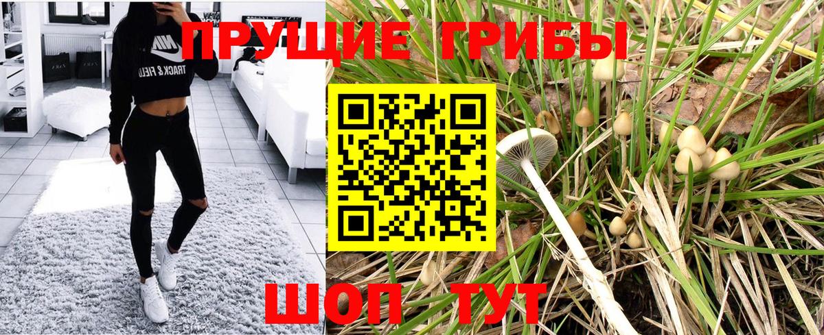 Галлюциногенные грибы Psilocybine cubensis  Галлюциногенные грибы ЛСД  Вход с VPN  купить наркотики сайты  Свободный 